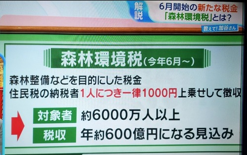 【岸田増税】メガソーラーで森林ぶっ壊しまくってる状況で森林環境税　始まる