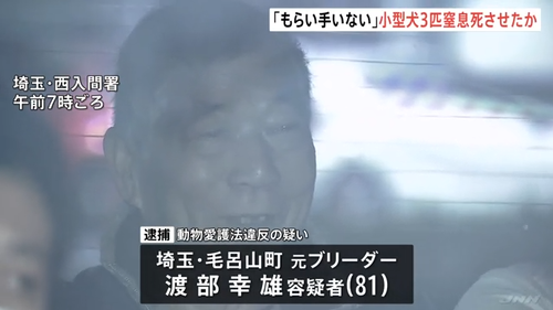 【埼玉】８１歳老害ブリーダー「始末するのがブリーダーの責任。だから殺した」ポメラニアンやトイプードル等の犬３匹を生きたまま袋に入れ殺害…余罪多数