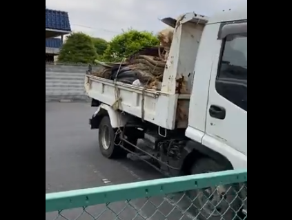 埼玉県クルド市のスーパーの駐車場の日常ｗｗｗｗｗｗｗｗｗｗ