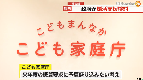 【異次元の少子化対策】こども家庭庁　税金で婚活支援を２０２５年から実施へ←無意味すぎると大炎上