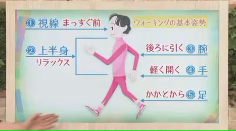 １日１万歩ぐらいウォーキングすると肝機能と腎機能が改善する