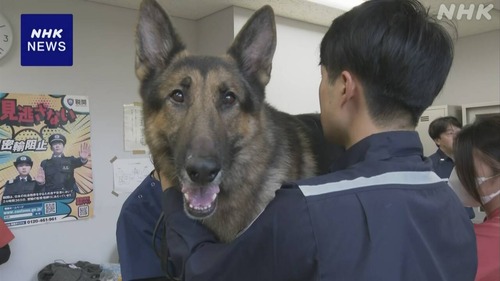 麻薬探知犬「ああああああああああああああ注射があああああああああああああああ」