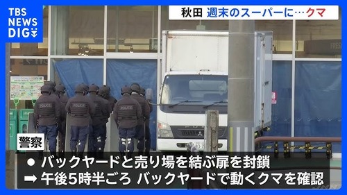 都市部に住むクマ可哀想勢　秋田県民に抗議「クマの出る場所に住むな」「クマが出るようなところに住んでる方にも責任がある」秋田県民「・・・えぇえ？」