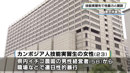 【令和の人身売買】栃木県のイチゴ農家　カンボジアから来た技能実習生に教えていた技能がこれ