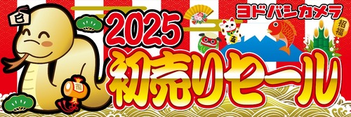 外国人転売ヤーさん　今年もヨドバシカメラで転売のネタを大量ゲット